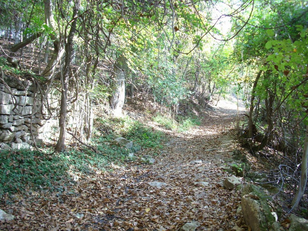 "Pivnica I Smestaj Jovanovic"- Rogljevacke Pivnice Rogljevo Exterior photo