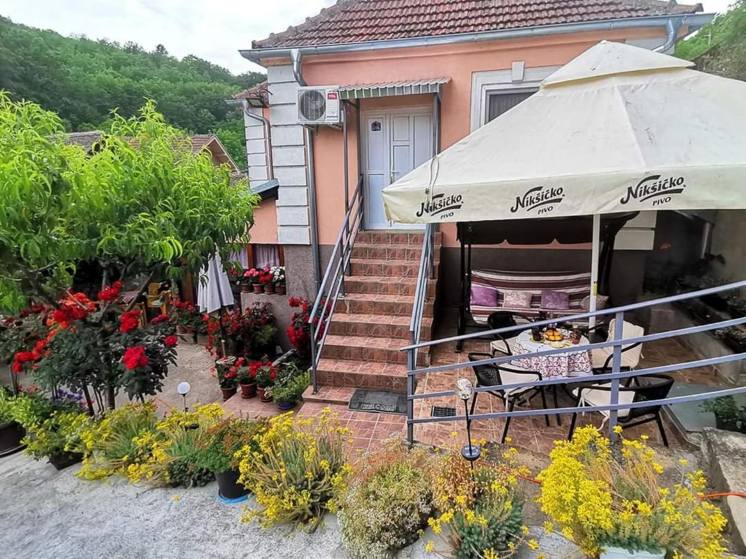 "Pivnica I Smestaj Jovanovic"- Rogljevacke Pivnice Rogljevo Exterior photo