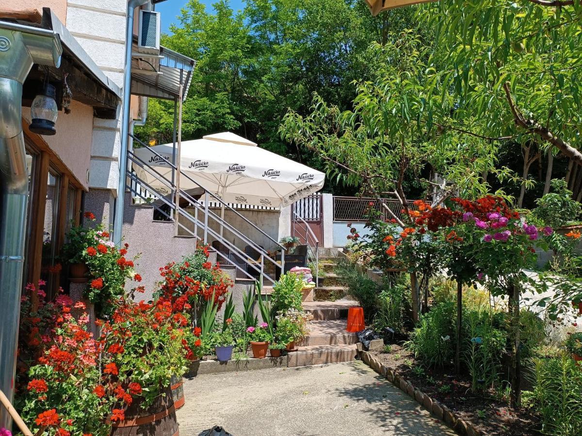 "Pivnica I Smestaj Jovanovic"- Rogljevacke Pivnice Rogljevo Exterior photo
